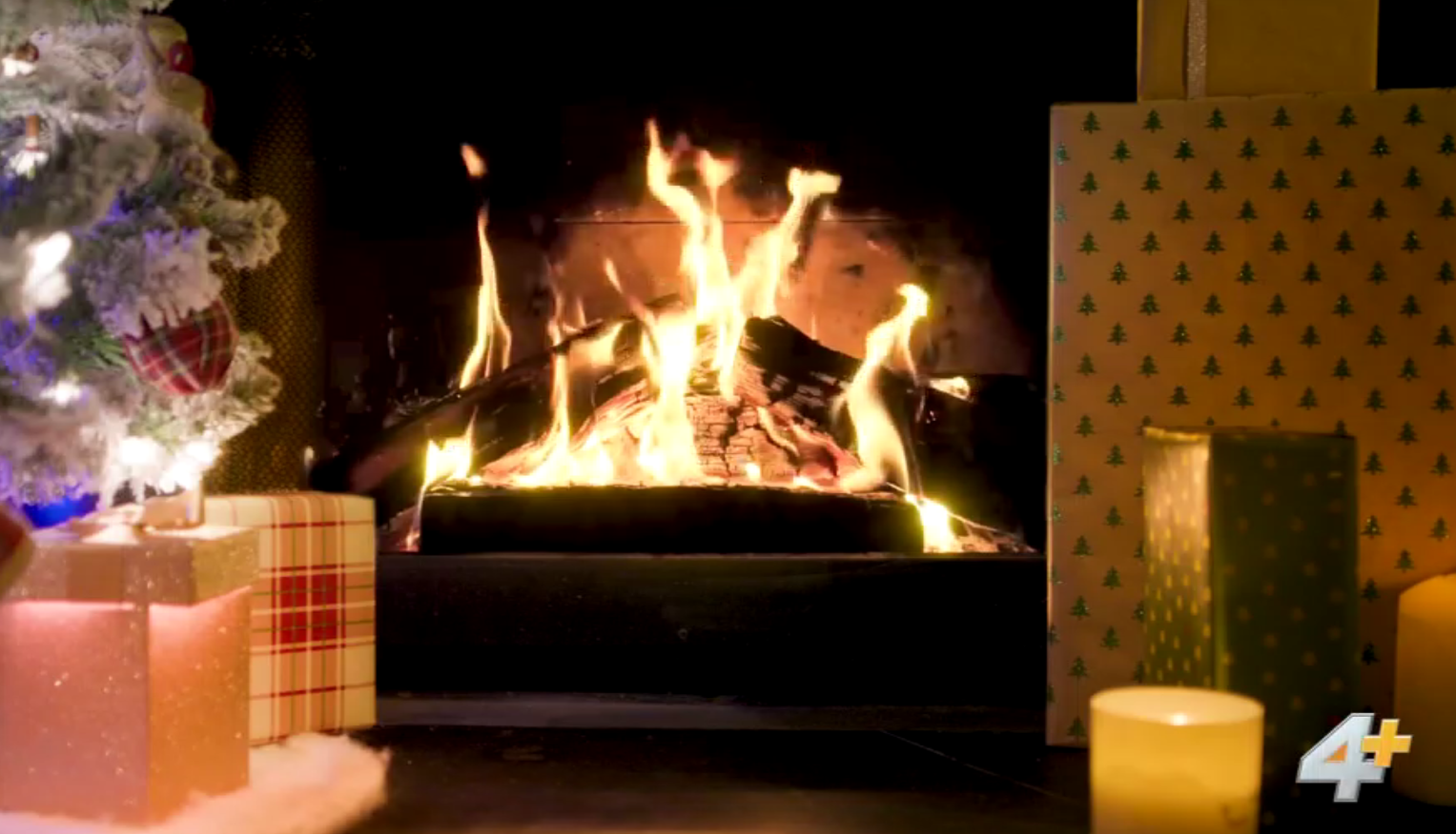 Yule Log